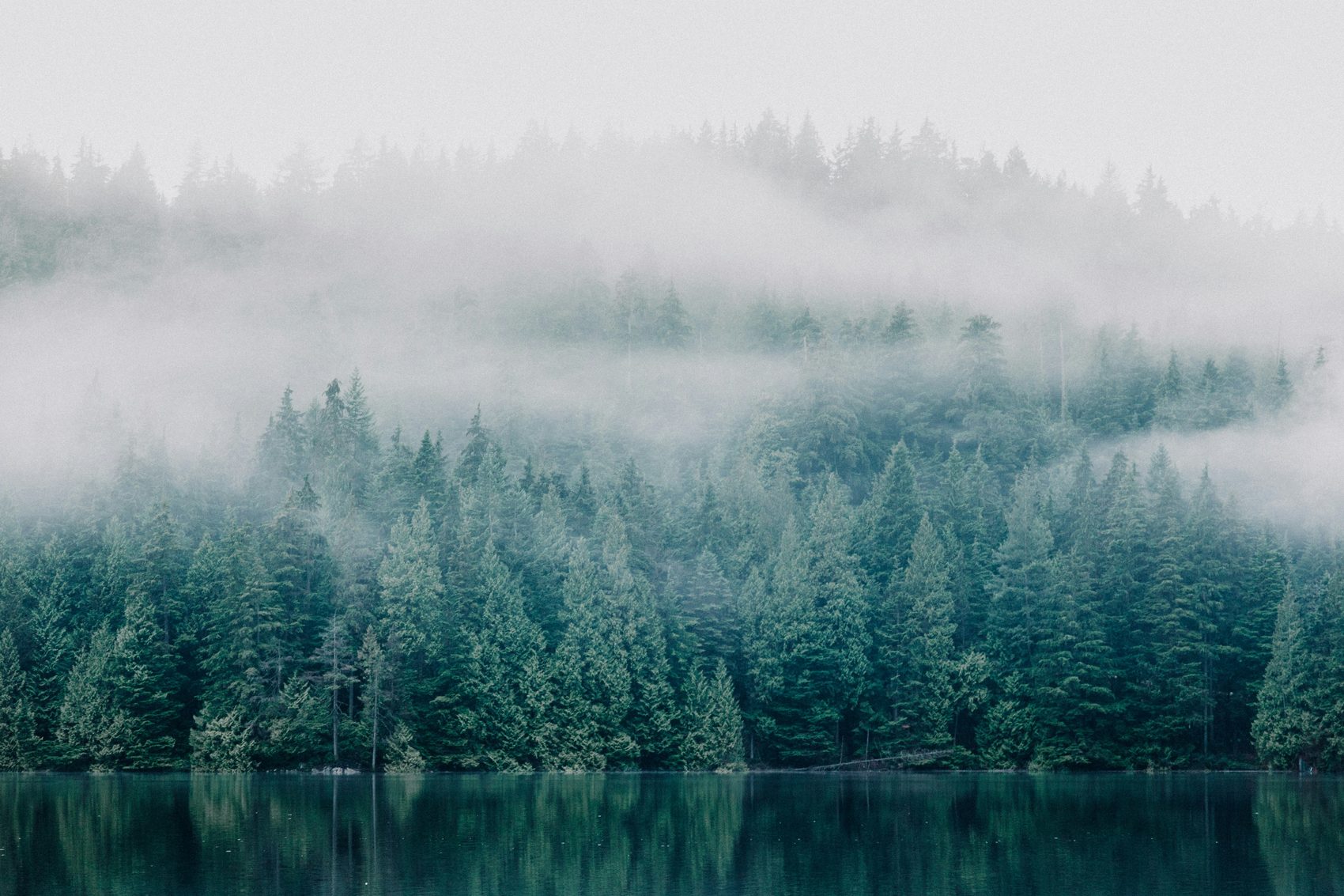 Calm and stillness after trauma therapy