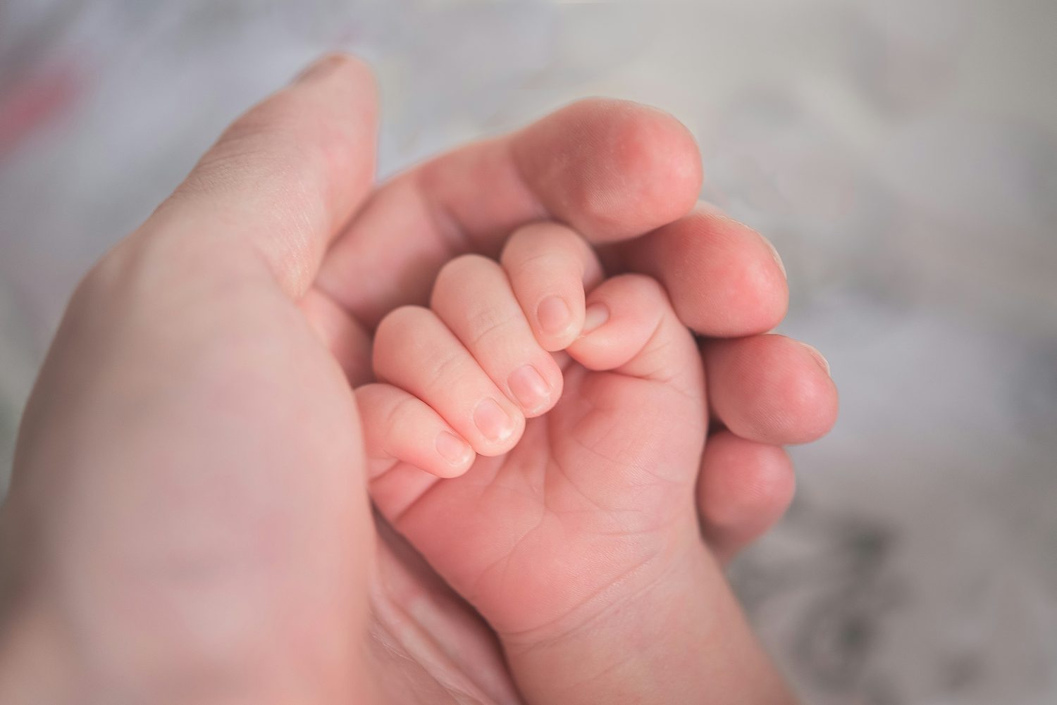 A newborn's hand resting in an adult's open hand